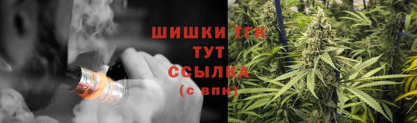 сатива Инсар