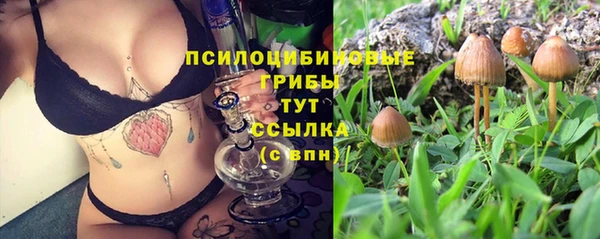 a pvp Нефтекумск